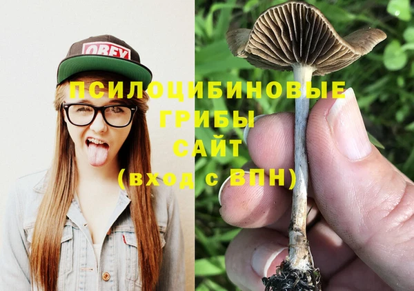 mdpv Верхний Тагил