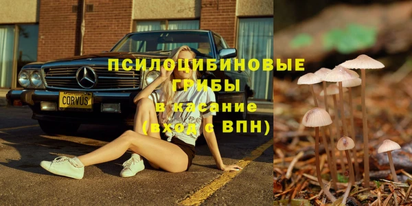 гашик Верхнеуральск